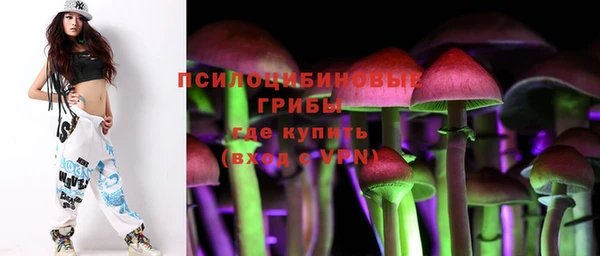 мяу мяу мука Алзамай
