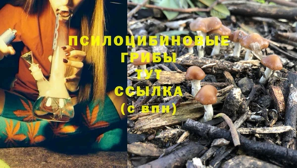 мяу мяу мука Алзамай