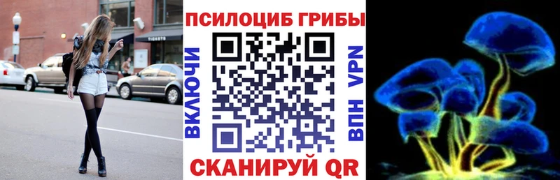 Псилоцибиновые грибы Cubensis  Лебедянь 